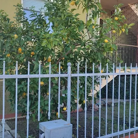 Apartman La Verdina Cnr Pisa